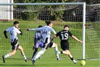 ASV Fürth - SV Eyüp Sultan Nürnberg (03.11.2024)