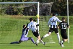 ASV Fürth - SV Eyüp Sultan Nürnberg (03.11.2024)