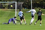 ASV Fürth - SV Eyüp Sultan Nürnberg (03.11.2024)