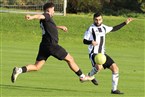 ASV Fürth - SV Eyüp Sultan Nürnberg (03.11.2024)