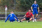 FSV Stadeln - ASV Weisendorf (09.11.2024)