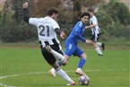 SV Eyüp Sultan Nürnberg - SGV Nürnberg-Fürth 1883 (10.11.2024)