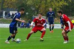 SC Germania Nürnberg - ASV Zirndorf (10.11.2024)