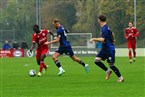 SC Germania Nürnberg - ASV Zirndorf (10.11.2024)