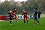 SC Germania Nürnberg - ASV Zirndorf (10.11.2024)