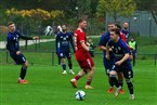 SC Germania Nürnberg - ASV Zirndorf (10.11.2024)