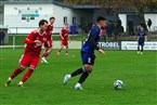 SC Germania Nürnberg - ASV Zirndorf (10.11.2024)