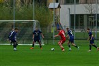 SC Germania Nürnberg - ASV Zirndorf (10.11.2024)