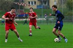 SC Germania Nürnberg - ASV Zirndorf (10.11.2024)