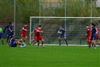 SC Germania Nürnberg - ASV Zirndorf (10.11.2024)