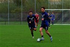 SC Germania Nürnberg - ASV Zirndorf (10.11.2024)