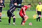 ASV Zirndorf - 1. FC Kalchreuth (16.11.2024)